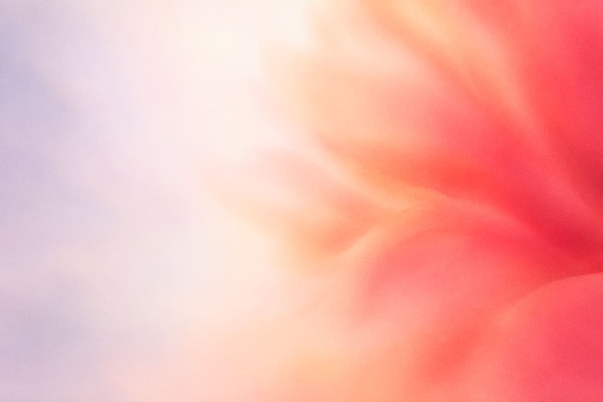 Coral bloom — Pastel Glow